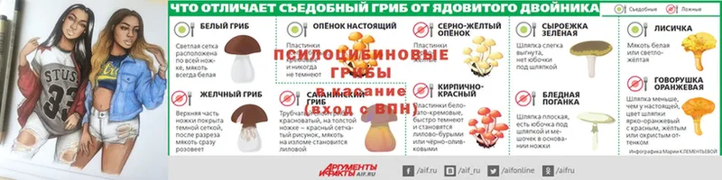 Галлюциногенные грибы ЛСД  Карабаново 